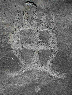 Ross Park petroglyphs