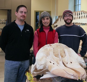 From left, ISU's Robert Schlader;  Libby Palmer, the program director for the Orca Project, and ISU's Nicholas Clement; with the orca skull they scanned at Port Townsend. (Photo courtesy Robert Schlader).